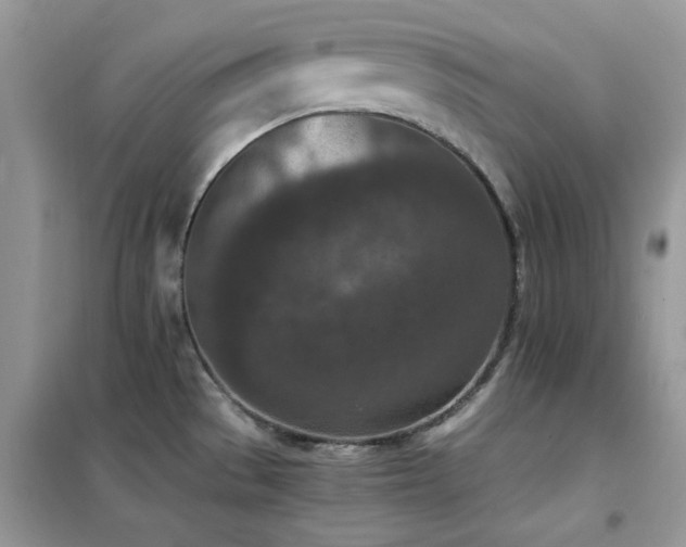 X0000102391529200808011548