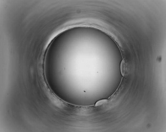 X0000102391530200808011548