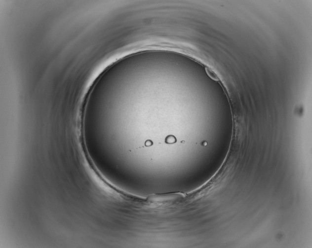 X0000102391531200808011548
