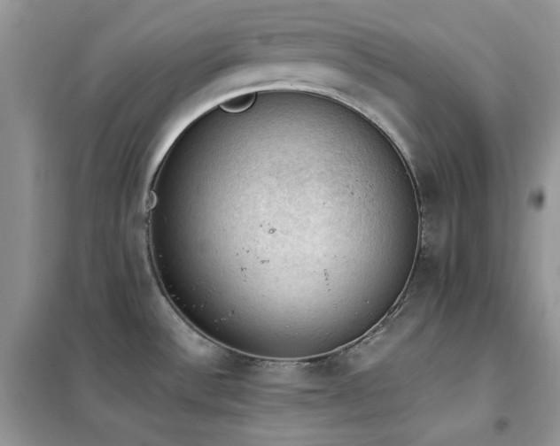 X0000102391532200808011548