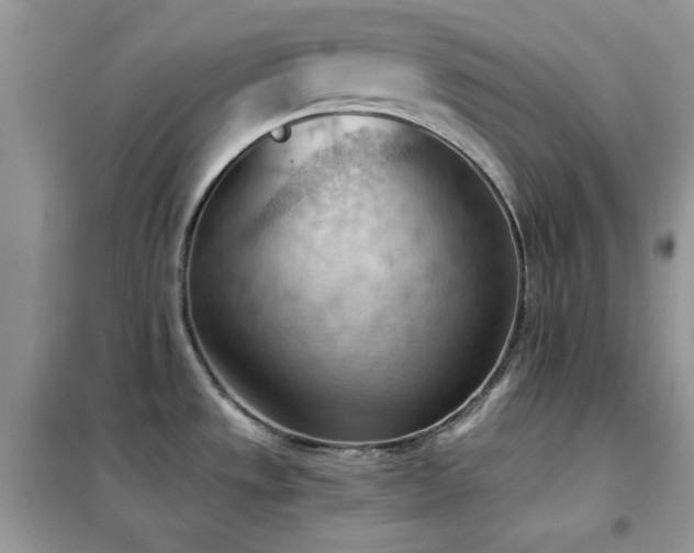 X0000102391533200808011548