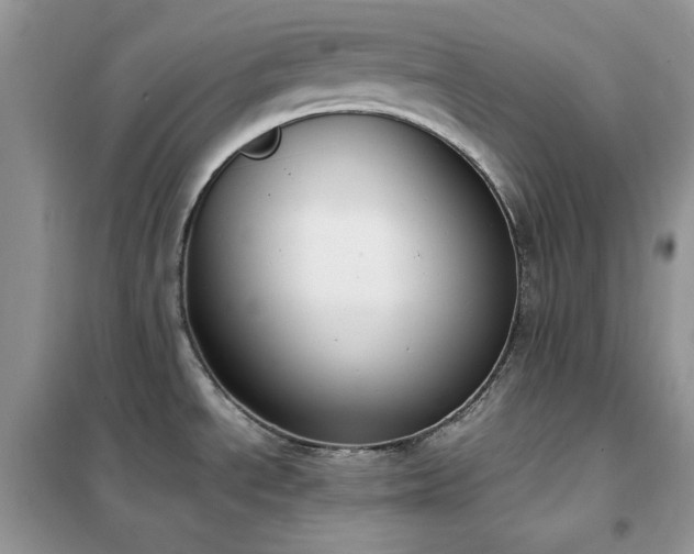 X0000102391534200808011548
