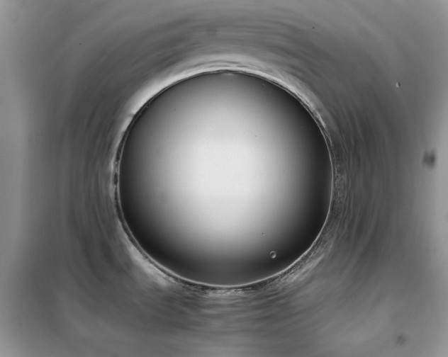 X0000102391535200808011548