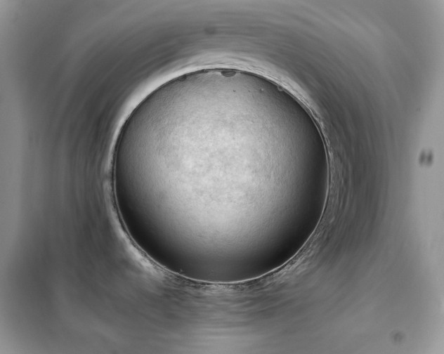 X0000102391536200808011548