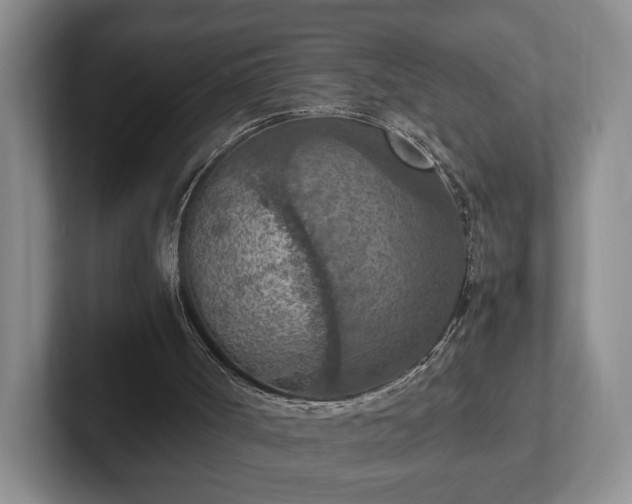 X0000102390002200808081237