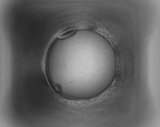 X0000102390003200808081237