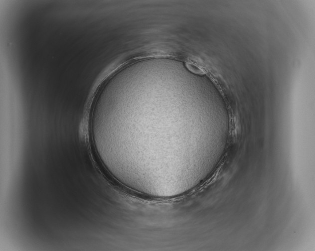 X0000102390004200808081237