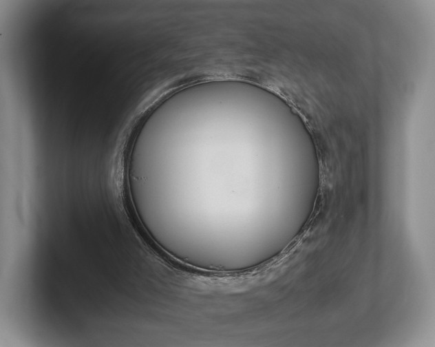 X0000102390005200808081237