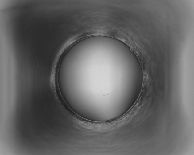 X0000102390006200808081237