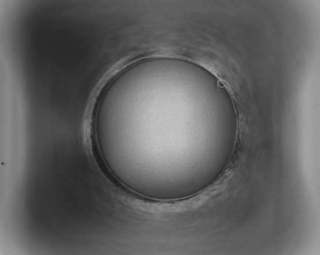 X0000102390007200808081237