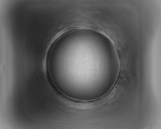 X0000102390008200808081237