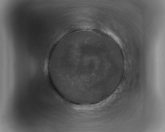 X0000102390009200808081237