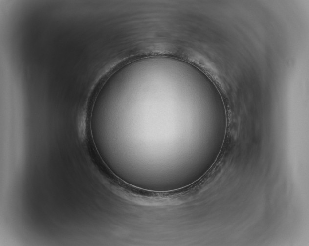 X0000102390012200808081237