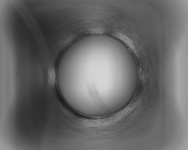 X0000102390013200808081237