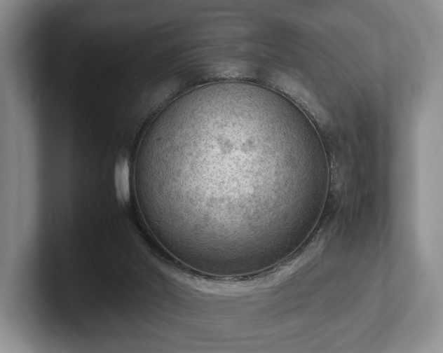 X0000102390014200808081237