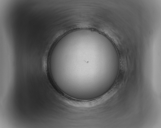 X0000102390015200808081237