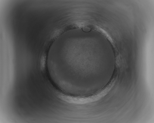 X0000102390018200808081237