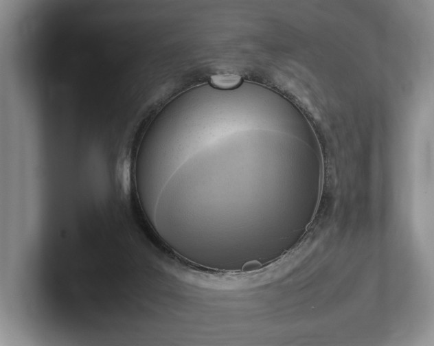 X0000102390019200808081237