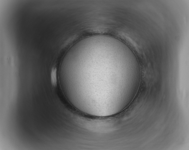 X0000102390020200808081237