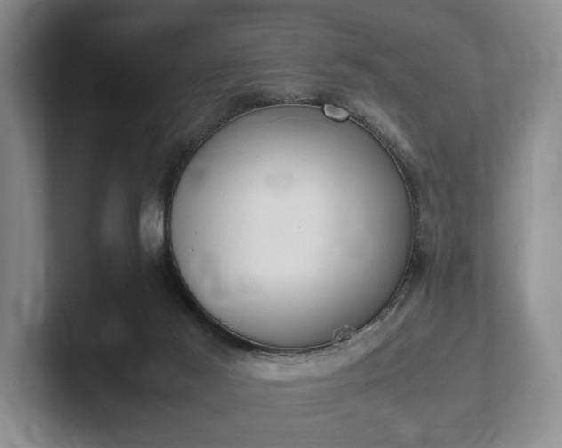 X0000102390021200808081237