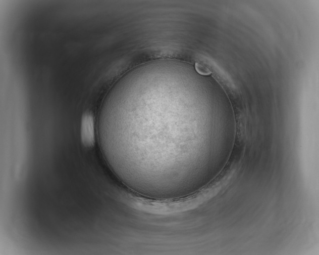 X0000102390022200808081237