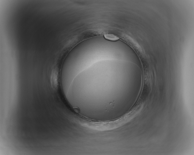 X0000102390023200808081236