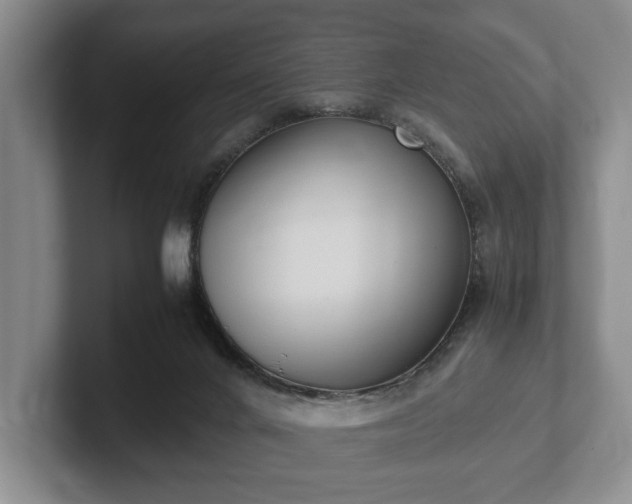 X0000102390024200808081236