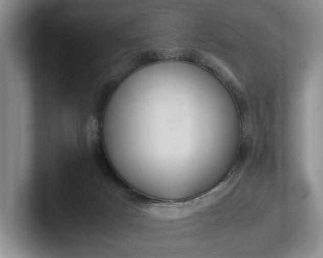 X0000102390025200808081236