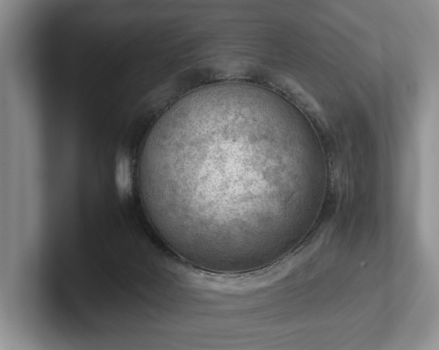 X0000102390026200808081236