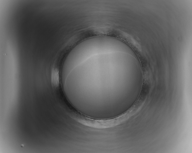 X0000102390027200808081236