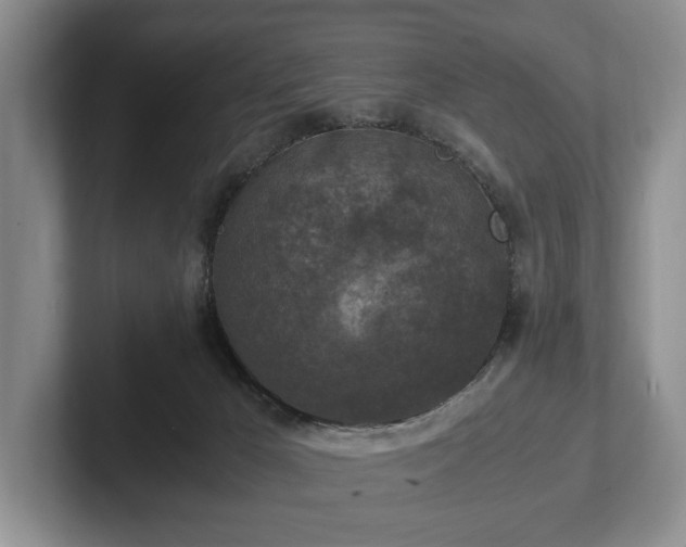 X0000102390029200808081236