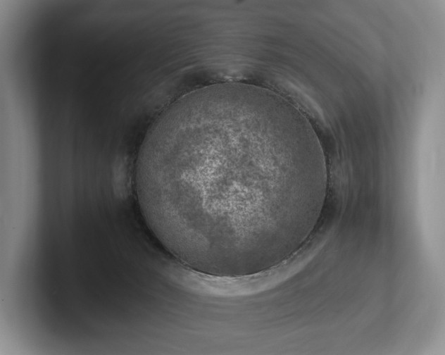 X0000102390030200808081236