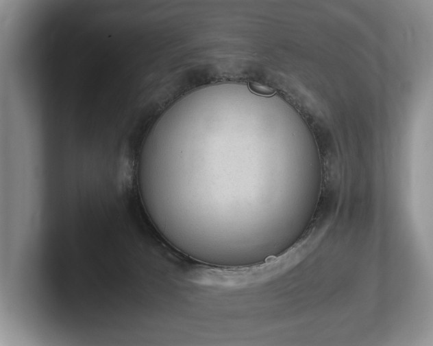 X0000102390033200808081236