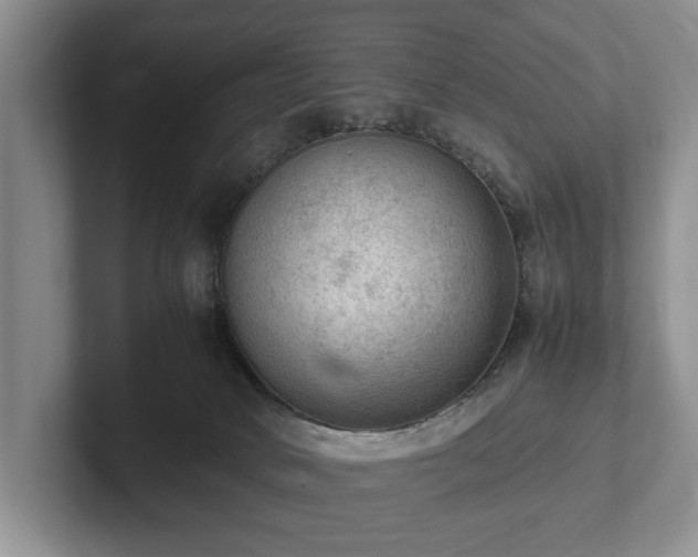 X0000102390034200808081236