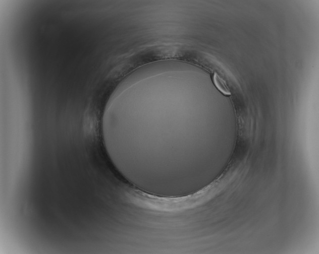 X0000102390035200808081236