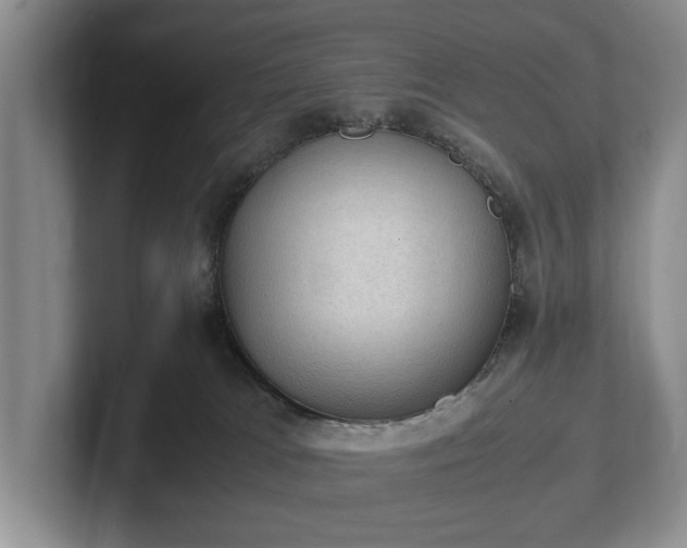 X0000102390037200808081236