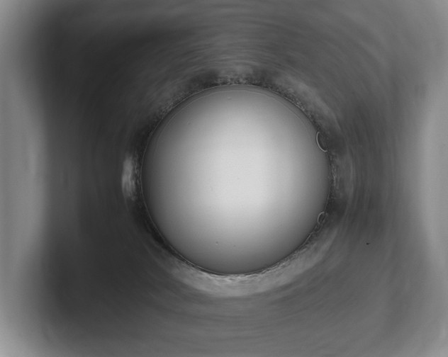 X0000102390038200808081236