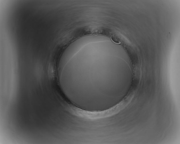 X0000102390039200808081236