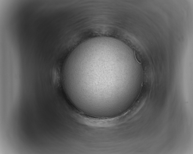 X0000102390040200808081236