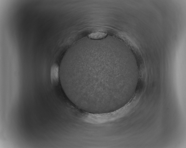 X0000102390041200808081236