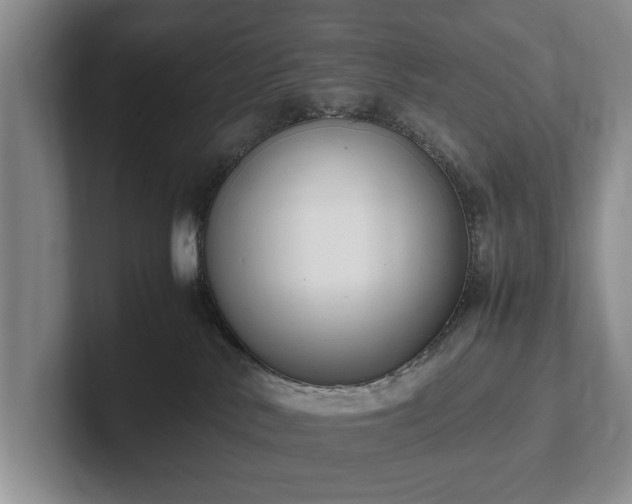 X0000102390042200808081236