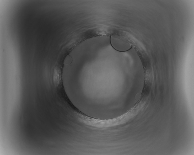 X0000102390043200808081236