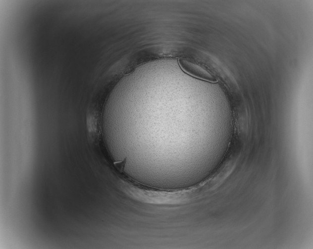 X0000102390044200808081236