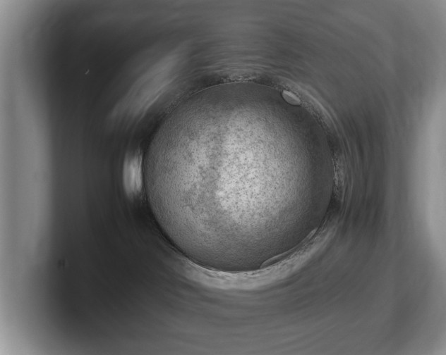 X0000102390046200808081236