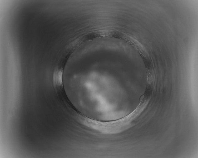 X0000102390047200808081236