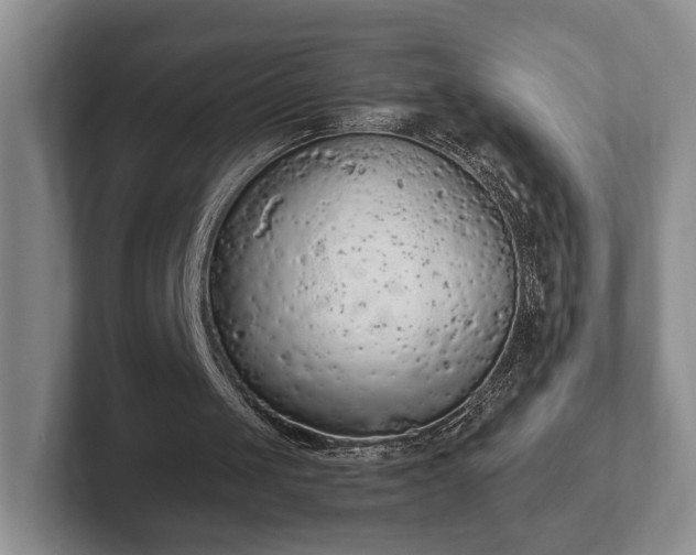 X0000102390049200808081235