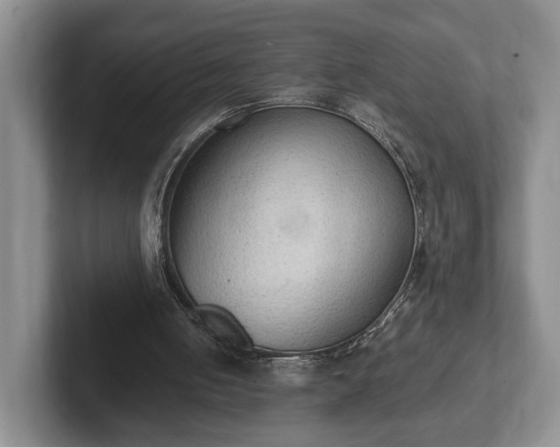 X0000102390050200808081235