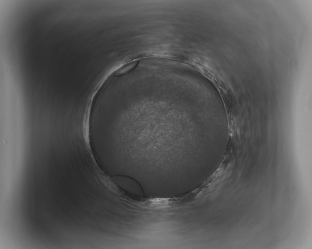 X0000102390052200808081235