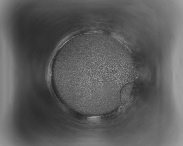 X0000102390053200808081236