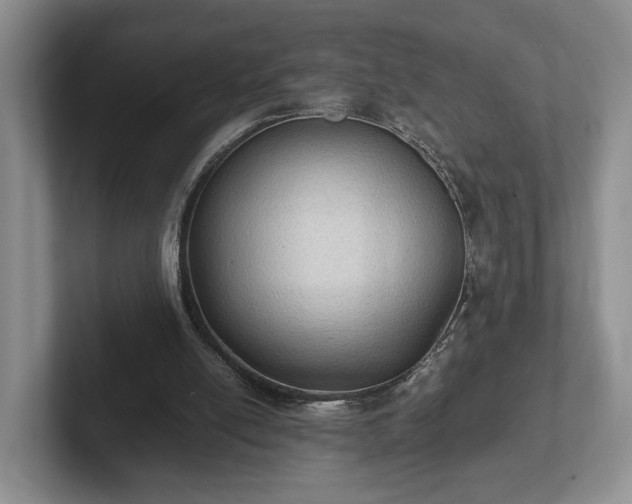 X0000102390054200808081236